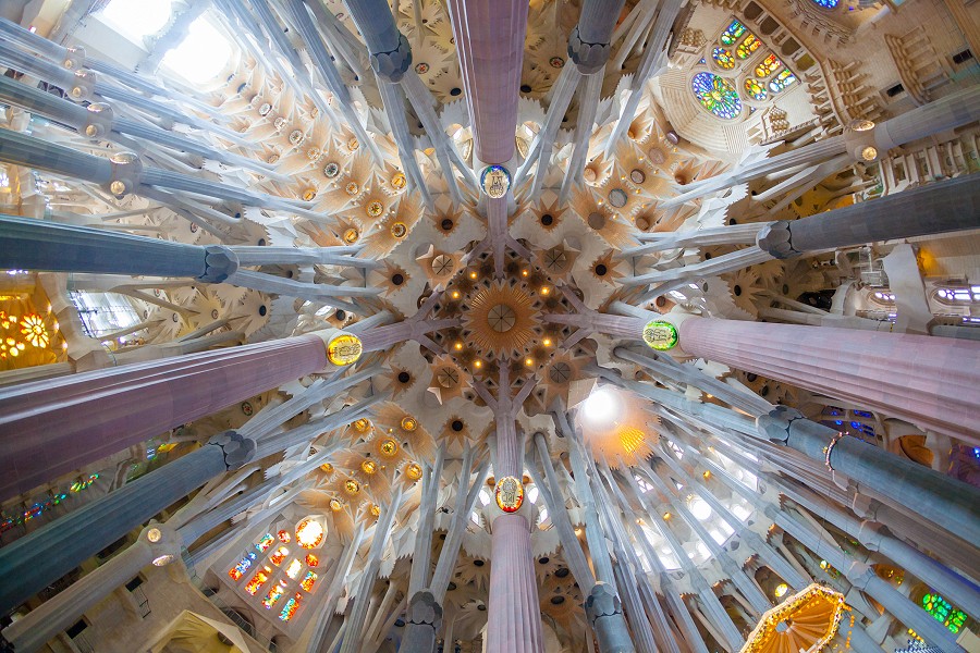 The ceiling of La Sagrada Familia